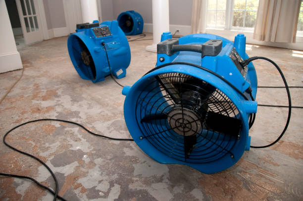 Best Commercial water damage restoration  in Hawaiian Paradise Park, HI